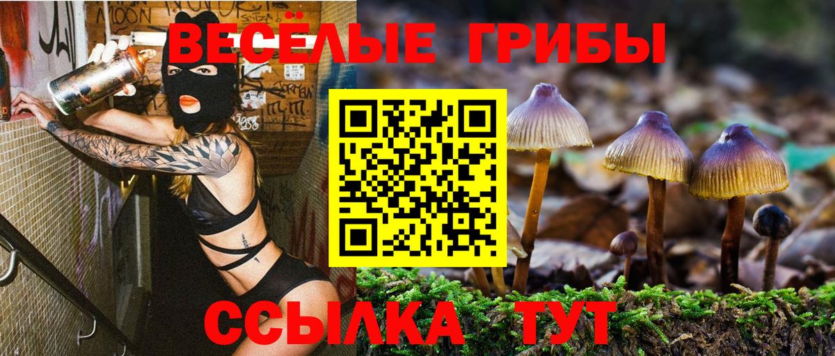 Галлюциногенные грибы мухоморы Красноярск