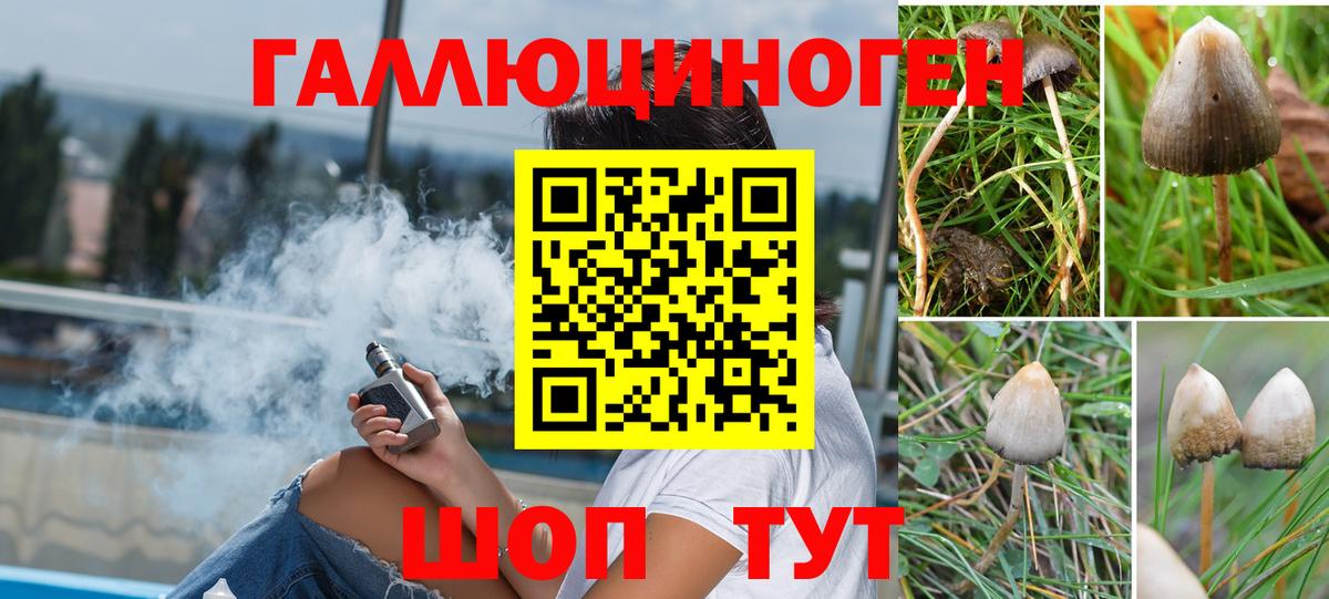 Галлюциногенные грибы Magic Shrooms  Вход с VPN  Красноярск  Псилоцибиновые грибы Magic Shrooms 